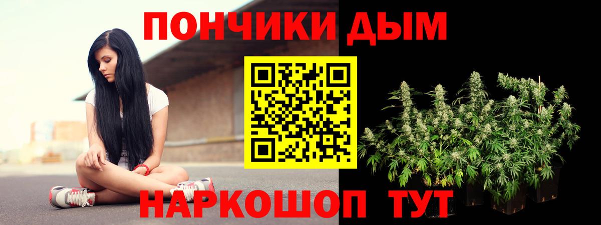 МАРИХУАНА семена Курчалой